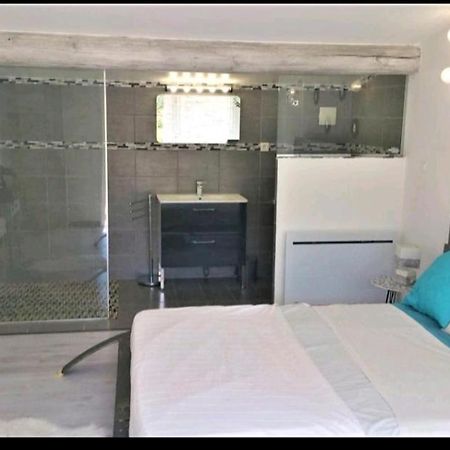 Suite Parentale Avec Petit Sejour Et Piscine Карпентра Екстериор снимка