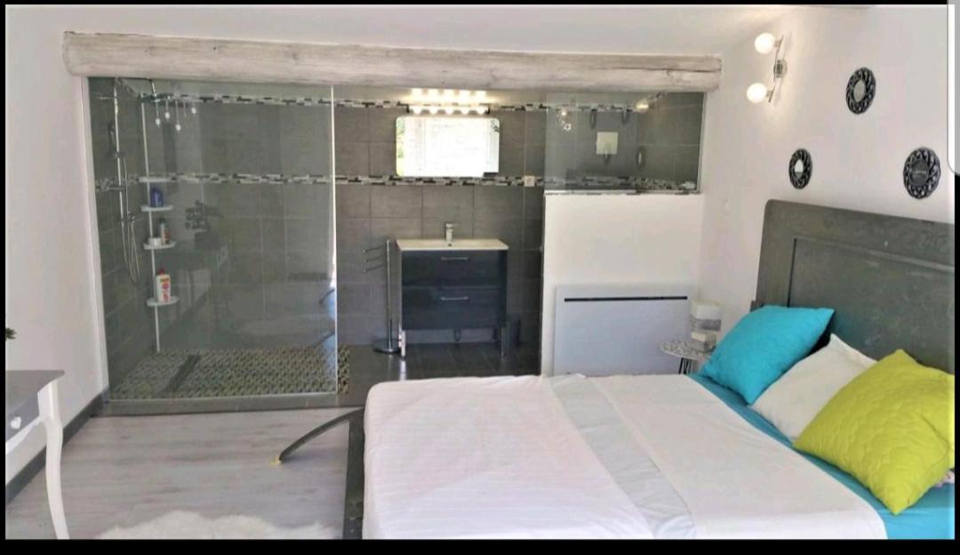 Suite Parentale Avec Petit Sejour Et Piscine Карпентра Екстериор снимка
